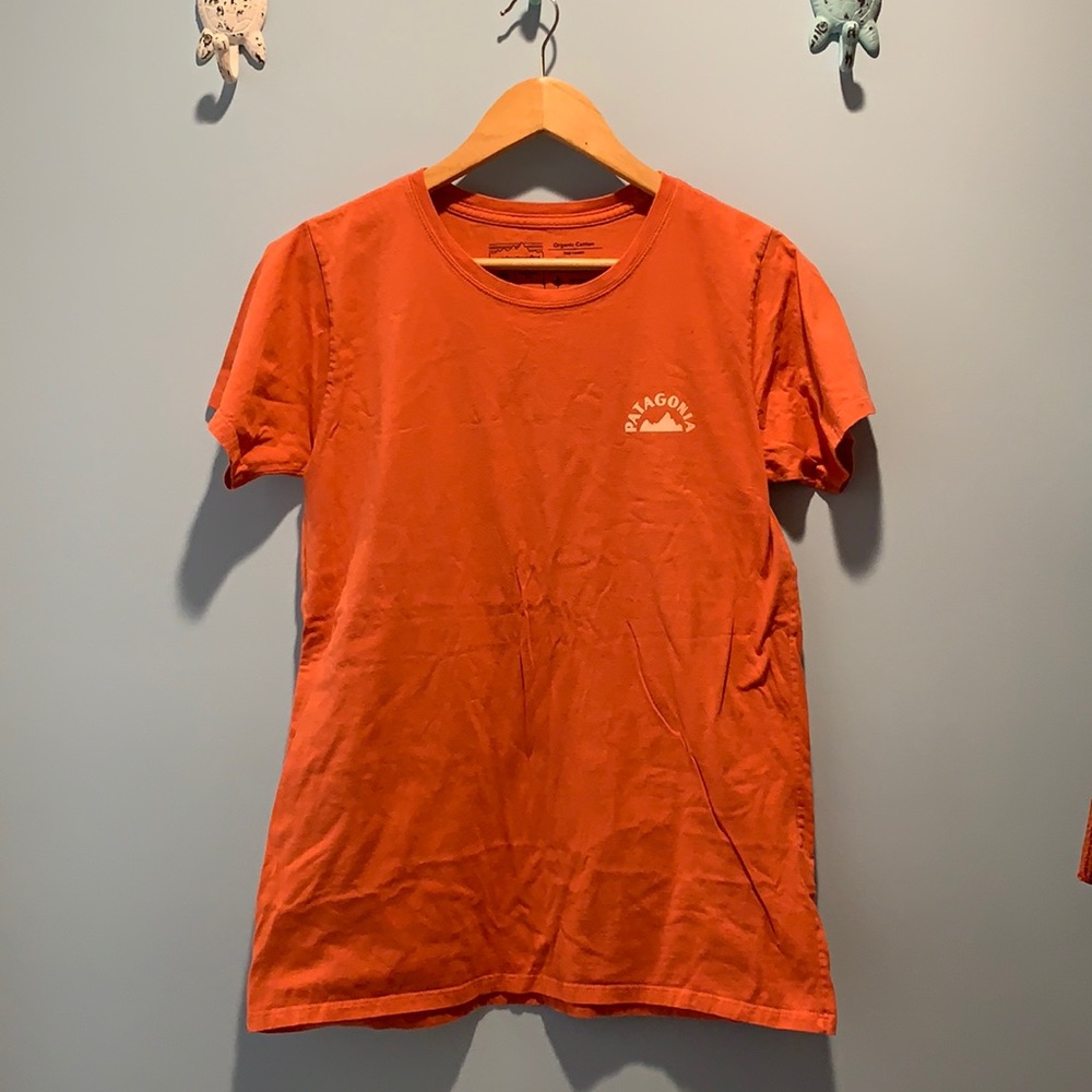 Patagonia t shirt
